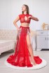 Professional bellydance costume (Classic 282 A_1)